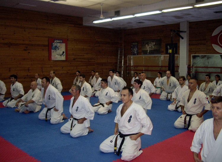 curso de instructores, curso de árbitros y curso técnico para cinturones marrones y negros 27 y 28 de noviembre 2010