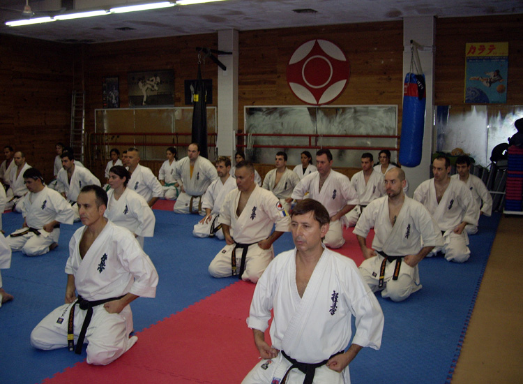 curso de instructores, curso de árbitros y curso técnico para cinturones marrones y negros 27 y 28 de noviembre 2010