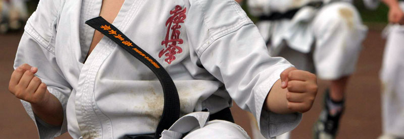 kyokushin karate sp